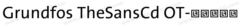 Grundfos TheSansCd OT字体转换